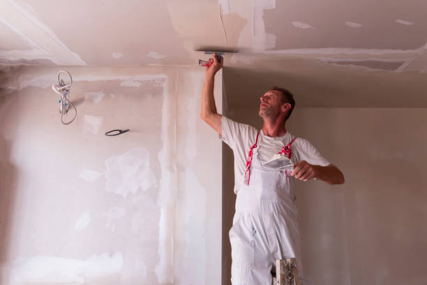 Best Ceiling Drywall Installation  in Bressler, PA