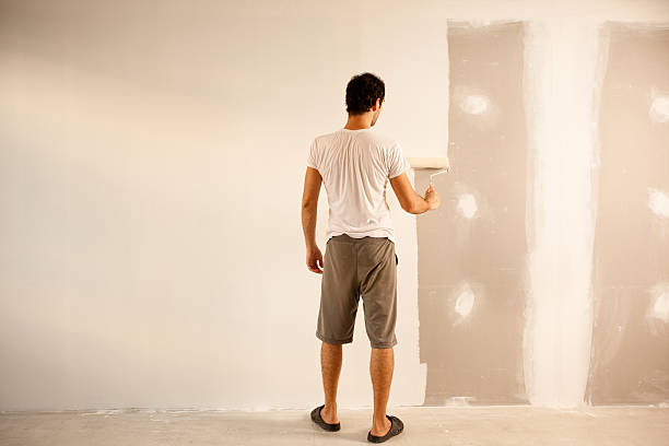 Best Fire-Damaged Drywall Repair  in Bressler, PA